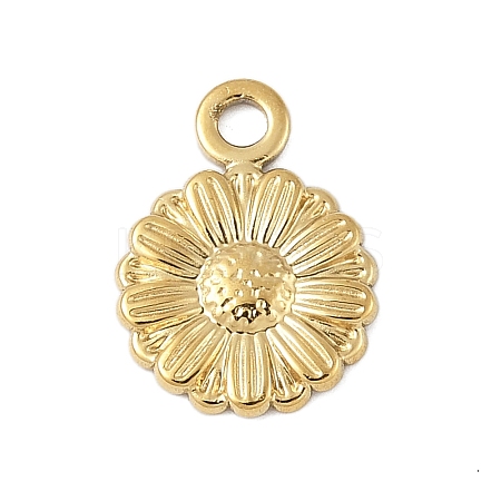 304 Stainless Steel Charms LS-STAS-S177-02G-1