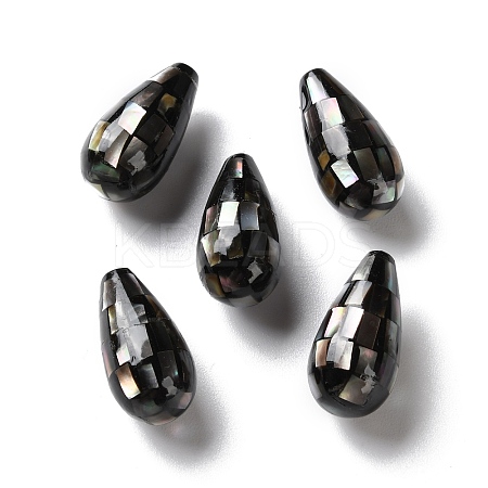 Natural Black Lip Shell Beads SSHEL-B002-10A-01-1