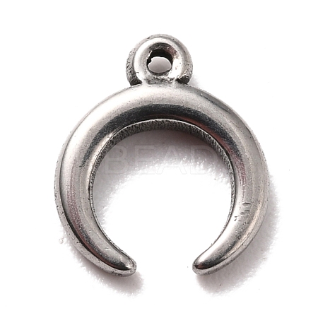 Non-Tarnish 304 Stainless Steel Charms STAS-B024-27P-1