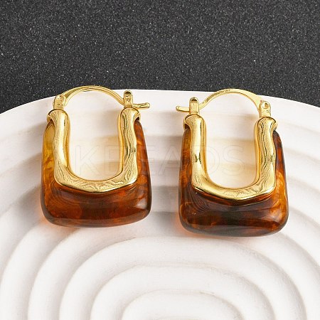 Brass Resin Hoop Earrings EJEW-P333-11B-G02-1
