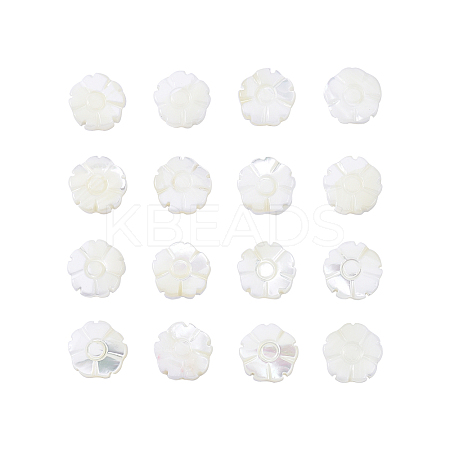 Natural Shell Beads Strands SSHEL-CJ0001-09-1