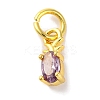 Rack Plating Brass Micro Pave Cubic Zirconia Charms KK-F881-03G-08-1