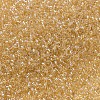 MIYUKI Delica Beads SEED-X0054-DB0100-3