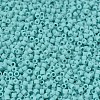 MIYUKI Delica Beads X-SEED-J020-DB1586-3