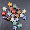 Natural Mixed Gemstone Beads PW-WG5B0B7-08-1
