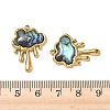 Natural Paua Shell Pendants X-STAS-G397-09G-02-3