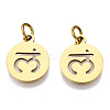 304 Stainless Steel Charms STAS-Q201-T446G-03-1
