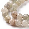 Natural Arusha Sunstone Beads Strands G-P488-04A-5