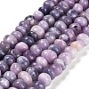 Natural Lepidolite/Purple Mica Stone Beads Strands G-G053-C01-01-1