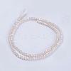 Electroplate Glass Beads Strands GLAA-F077-FR14-2
