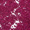 Baking Paint Glass Seed Beads X-SEED-S042-05B-70-3