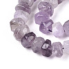 Natural Amethyst Beads Strands G-N347-17A-03-4