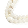 Natural Cultured Freshwater Shell Beads Strands BSHE-H109-03C-4