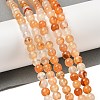 Natural Red Agate Beads Strands G-A248-A06-01-1