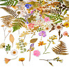 4 Bags 4 Styles Plant PET Adhesive Waterproof Stickers DIY-TA0009-84-2