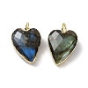 Natural Labradorite Pendants G-G012-11G-06-2