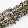 Natural Labradorite Chips Beads Strands LS-F069-1