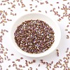 MIYUKI Half TILA Beads SEED-X0054-HTL257-2