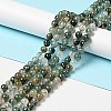 Natural Fuchsite Beads Strands G-K285-40B-1-2