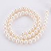 Natural Cultured Freshwater Pearl Beads Strands PEAR-R063-39A-2