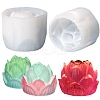 DIY Scented Candle Making Silicone Molds DIY-E055-31-1