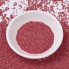 MIYUKI Delica Beads Small X-SEED-J020-DBS0874-2