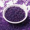 MIYUKI Round Rocailles Beads X-SEED-G008-RR0352-2