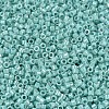 MIYUKI Delica Beads SEED-X0054-DB1576-3
