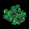 Luminous Transparent Resin Decoden Cabochons LS-RESI-D013-06D-2