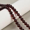 Natural Amber Beads Strands G-Z100-A02-5mm-01-1