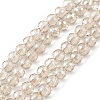 Transparent Electroplate Glass Beads Strands EGLA-F151-PL04-1