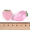 Opaque Resin Decoden Cabochons RESI-M050-06C-3