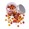 Sealing Wax Particles X-DIY-TAC0010-10C-3