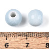 Handmade Porcelain Beads PORC-T133-11A-18-3