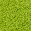 MIYUKI Delica Beads X-SEED-J020-DB0766-3