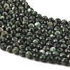 Natural Seraphinite Beads Strands G-K376-A02-5mm-4