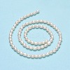Natural Cultured Freshwater Pearl Beads Strands PEAR-J006-07C-2