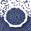 Picasso Baking Paint Glass Seed Beads SEED-N007-35H-2