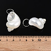 Natural Spiral Shell Pendants SHEL-N036-11-3