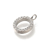 304 Stainless Steel Micro Pave Cubic Zirconia Pendants STAS-H228-06P-O-2