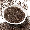 Transparent Glass Round Seed Beads SEED-B001-05A-20-2