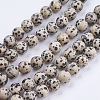 Natural Dalmatian Jasper Stone Bead Strands G-R193-14-10mm-1