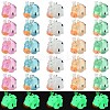 30Pcs 5 Colors Luminous Resin Pendants RESI-SZ0003-24-1