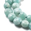 Natural Amazonite Beads Strands G-C179-J01-01-4