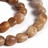 Natural Fossil Coral Beads Strands X-G-D0002-D78-3