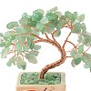 Heart Money Tree Natural Natural Green Aventurine Bonsai Display Decorations DJEW-G027-16RG-04-4