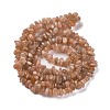 Natural Multi-Moonstone Chip Beads Strands G-M205-19A-2