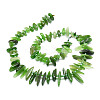Natural Canada Jade Beads Strands G-E569-O06-2