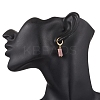 3 Pairs 304 Stainless Steel Natural Mixed Stone Leverback Earrings EJEW-JE06527-01-2