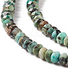 Natural African Turquoise(Jasper) Beads Strands LS-G-F717-02A-4